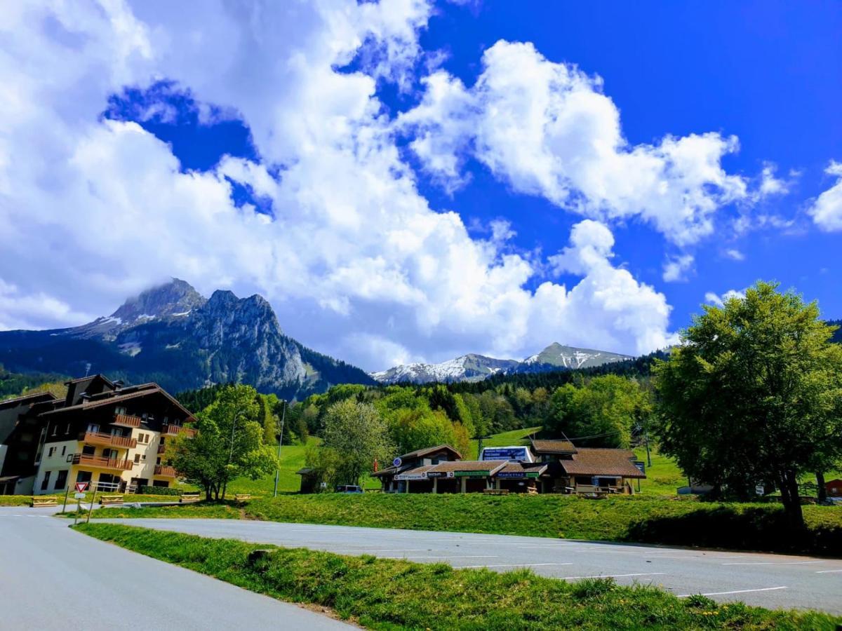 Le 67,Ski Et Randonnee,Lave Linge,Seche Linge,Parking Bernex Exterior foto