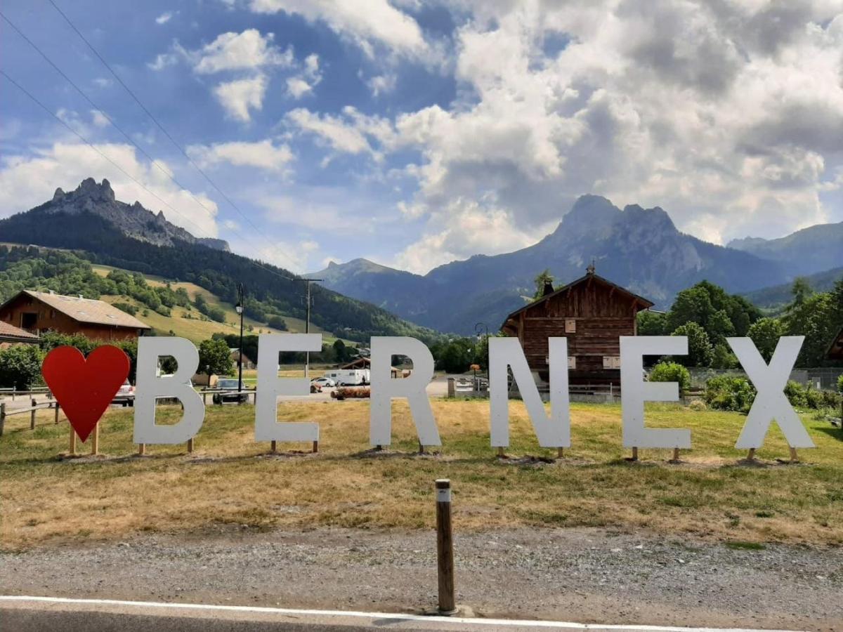 Le 67,Ski Et Randonnee,Lave Linge,Seche Linge,Parking Bernex Exterior foto