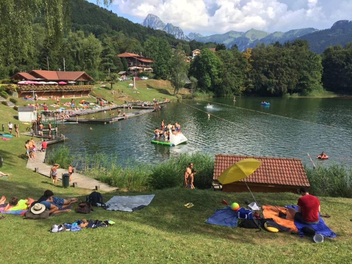 Le 67,Ski Et Randonnee,Lave Linge,Seche Linge,Parking Bernex Exterior foto