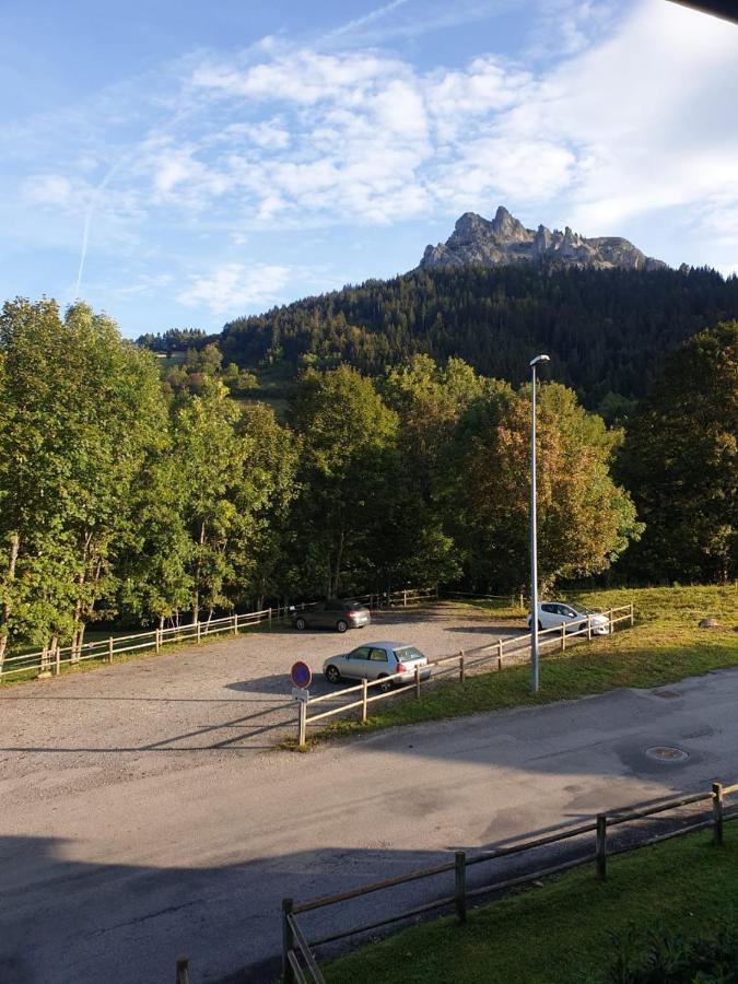 Le 67,Ski Et Randonnee,Lave Linge,Seche Linge,Parking Bernex Exterior foto